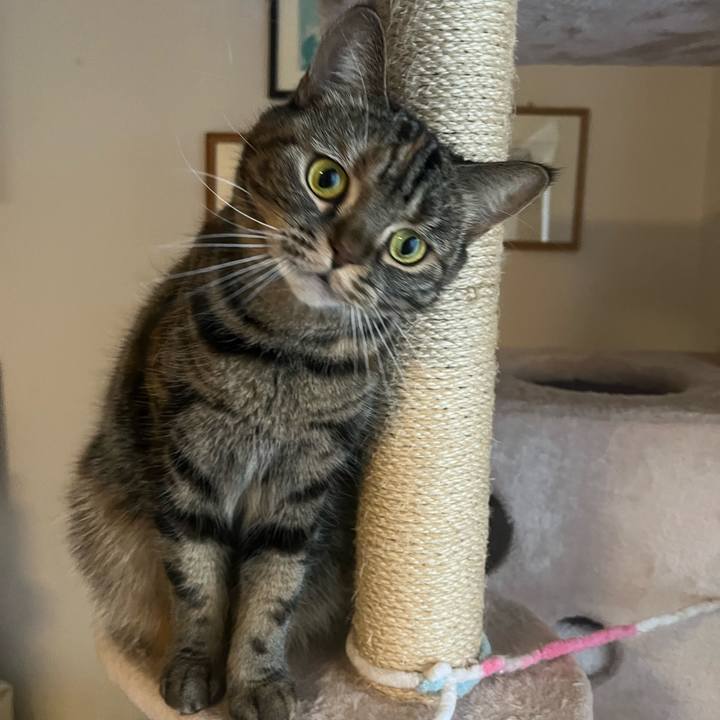 75ac4b20 3589 45a3 9125 4b89f28f4784 1734789457295