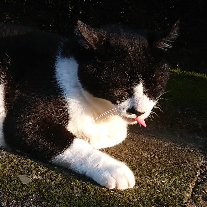 75ac70be f7a8 40f6 bca1 1f21bf055abc 1596450756890