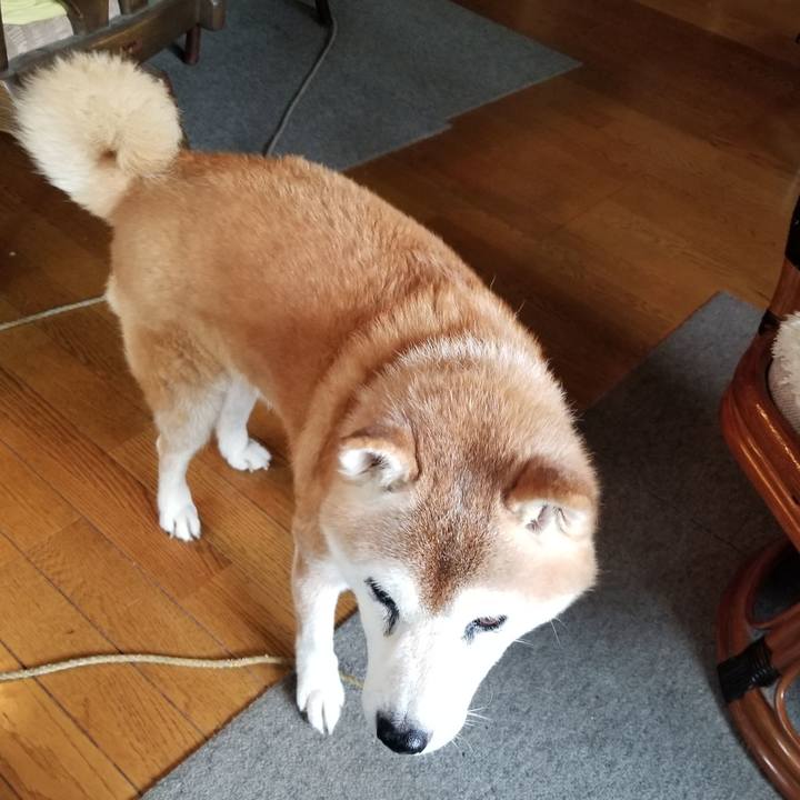 75ac97be 9ca8 4ff1 8f93 471347496fc7 1727063918183