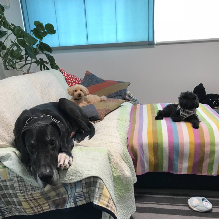 75acadda 7f05 4169 8ccf b3c790fa3495 1527115614744