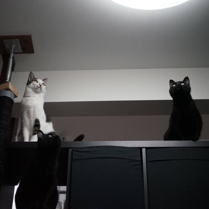 75acfada 394d 49a3 b94c 43613a6207ce 1529591195922