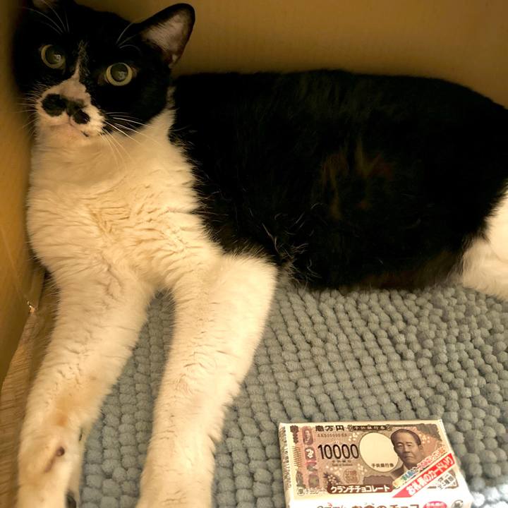 75ad2fb6 0307 41b5 a295 3d7970353a46 1722676831857