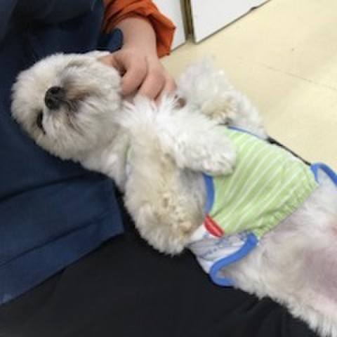 75ad5735 b8d9 4d7c 8b2b 14f550b5fb62 1523962829700