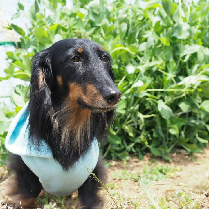 75ad6710 0ad8 4ecf 9730 15cc5786f822 1554787437374