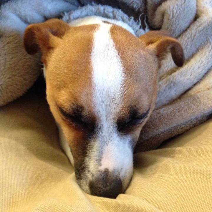 75ad71f5 ff60 4349 bd0c 54ada9760e6d 1673756069906