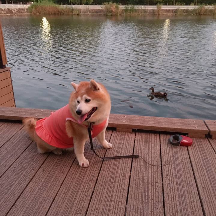 75adbf4f 0b8e 41c9 ab13 87885a3f4126 1597836317827