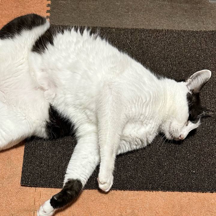 75adcd39 a6b9 4e77 bc87 743513a42a5b 1697589432220