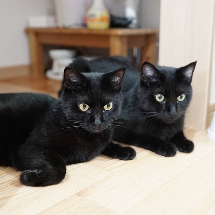 75adfc27 a608 4d33 80fd 13590ddbd59f 1564357721843