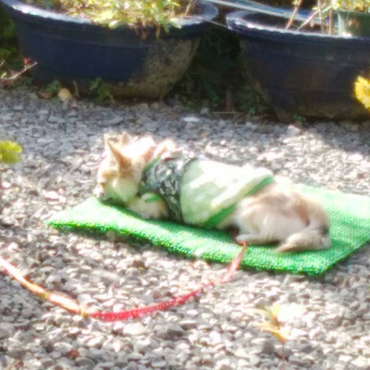 75ae2fd5 c8d6 4285 8b61 e59f920ebcd6 1512872903289