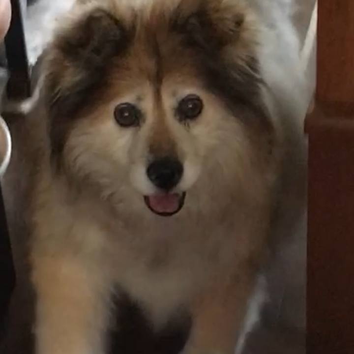 75ae37c8 e5d4 4f08 a352 cc08bcd69075 1550961706019