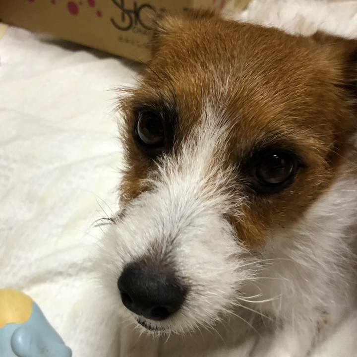 75ae8c8b 0f73 48f6 9a76 d960ac33bd79 1529234915279