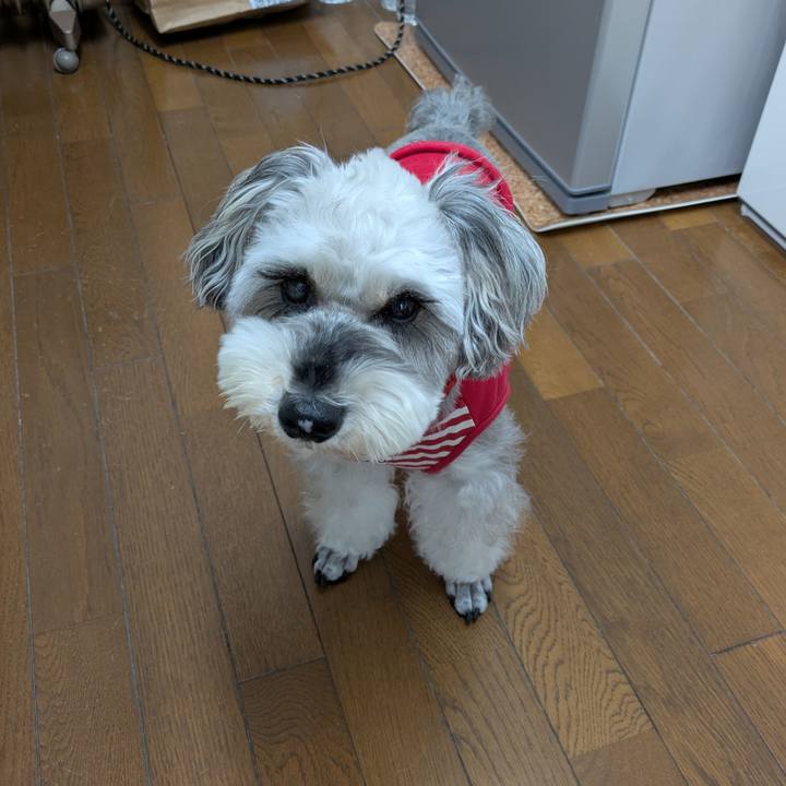 75ae9dbc c937 4f23 bee5 3373daadcbcc 1763075502752