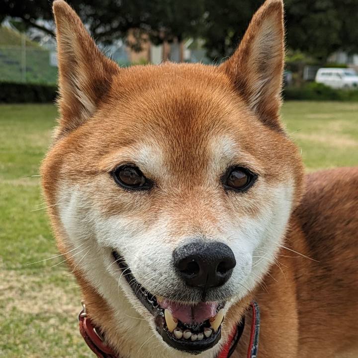 75aeae07 2337 480f b4b6 874821a3c236 1714199852978