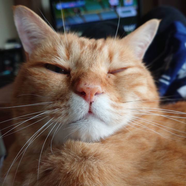 75aed1fe c0e8 4918 afd6 47eadc5cb2af 1597189950123