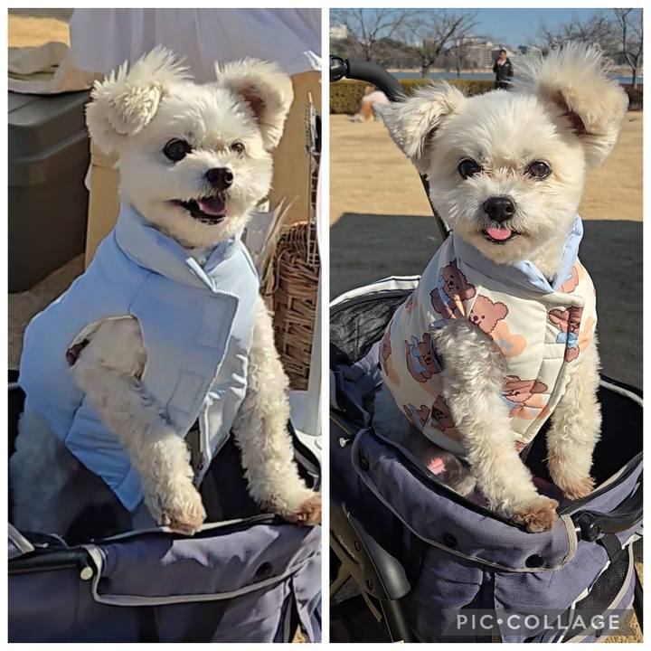 75aed656 726c 4592 9632 fa966badc718 1769945260539