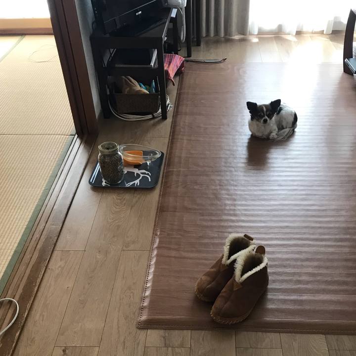 75aee8bd c8a5 4093 9bd2 f6543ba09545 1548817108480