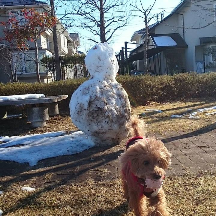 75aeeba3 cefc 49b5 8a4b dabb10b6d30b 1517717059292