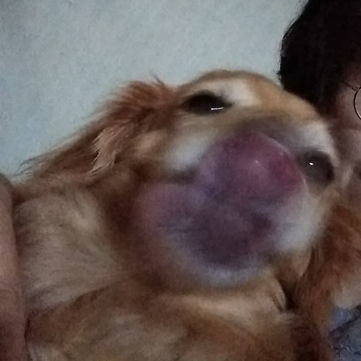 75aef20a ce1e 4d83 af00 eef78cd071b5 1637564259550