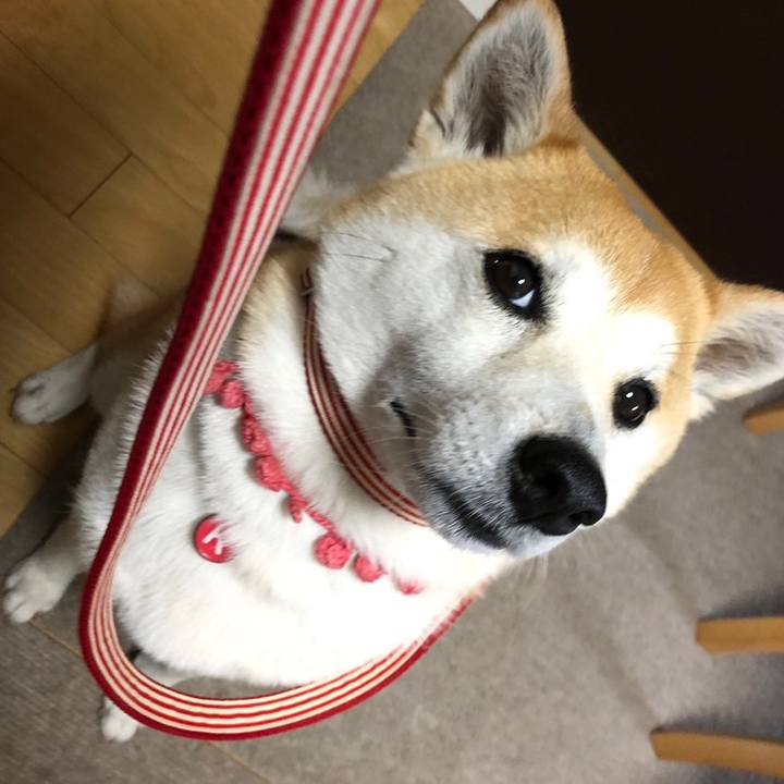 75af3f51 04c4 426f 9bee a9da92057ae3 1559689146033