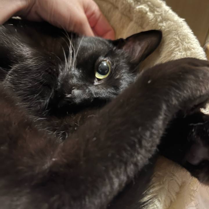 75af48bf 4bbd 40bc 8704 85f7e5a62bb2 1716687496597