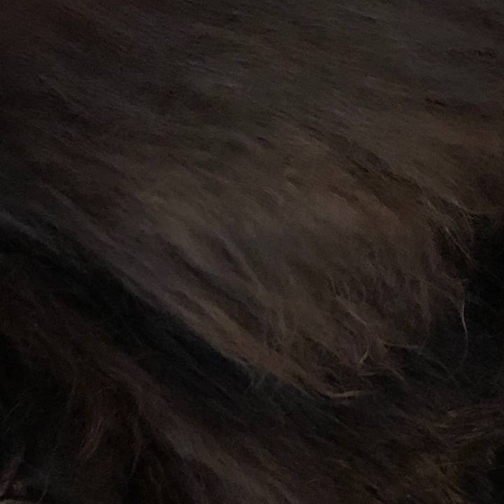 75af6f16 f15e 449f b89c 937529a9961a 1551158733174