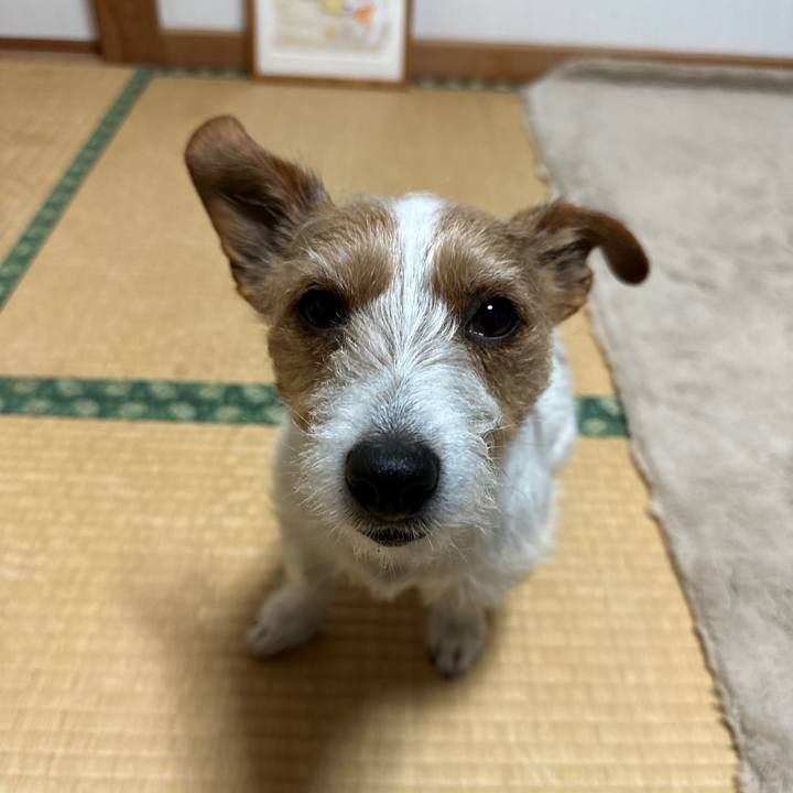 75af86f9 5db2 4f03 a483 dbf4aef6b020 1771972909752