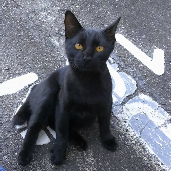 75af9210 c5ba 4860 97c4 120962872218 1541914010637