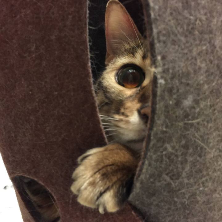 75afee08 b496 4f86 a669 0a780ca6b645 1530658949772