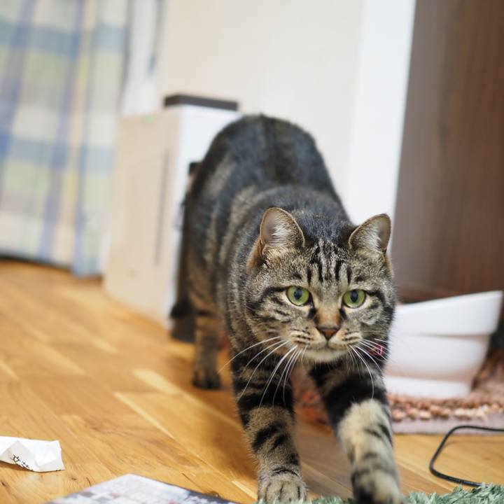 75b01f5d 0d25 4469 903c 25bbfe108cd5 1606822809820