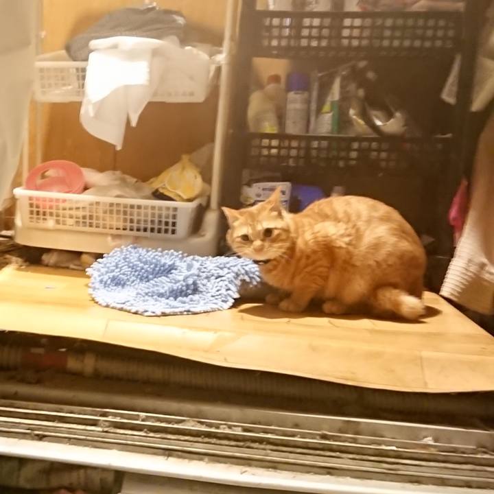 75b02f6b f8c5 412f b1d3 1ec7ef0ccd24 1641639485328