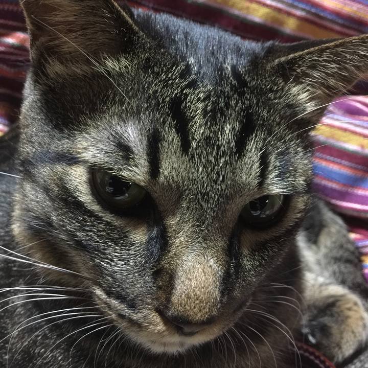 75b04983 9fa2 4b01 82ca a344f42a0ad7 1514634080303