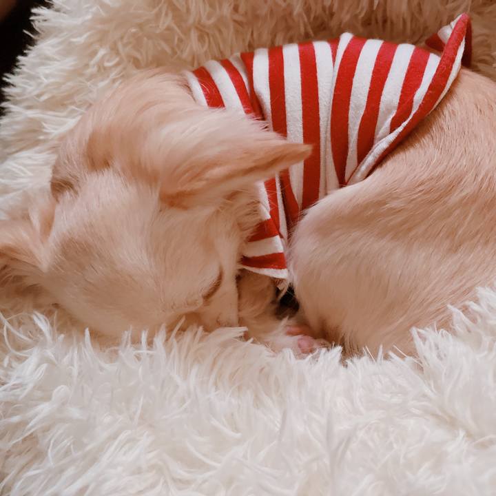 75b05974 0026 45a5 95c4 6e194efb79c6 1675984902161