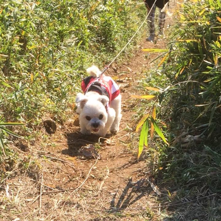 75b05c76 624d 479d 92c3 9613efcd6c3c 1512286190318