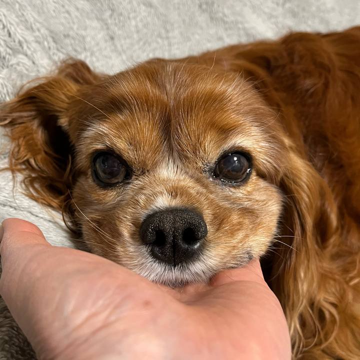 75b06421 33bd 4da9 a0b6 082ef3b46389 1741127101558