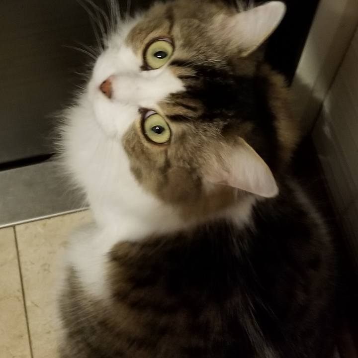 75b0743c 1a49 4511 93e8 6d0086c87b6c 1538634834493