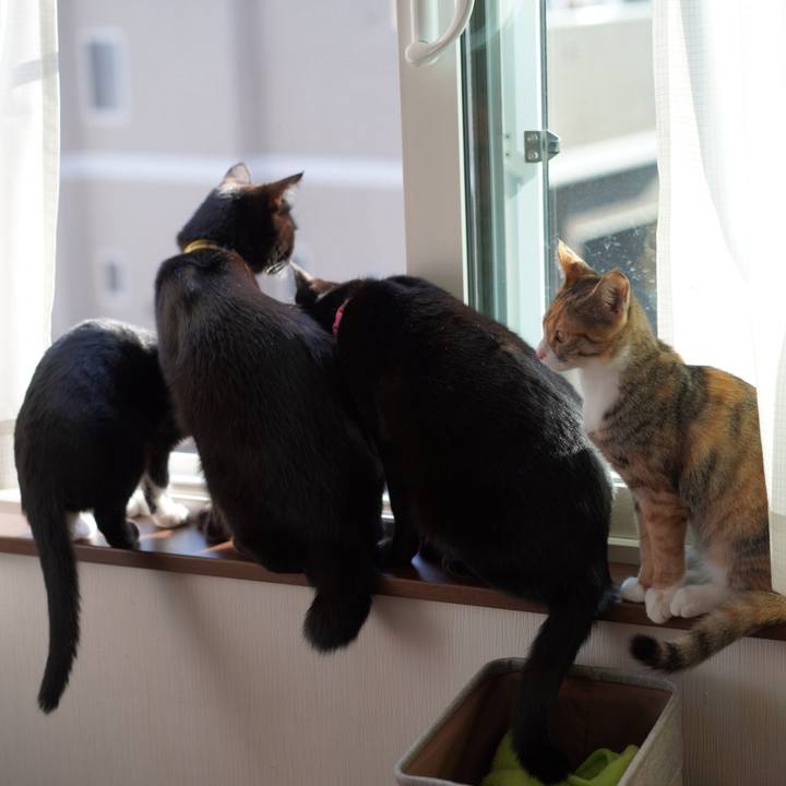 75b0d792 157b 4a02 9711 4d5a2d500975 1576414283186