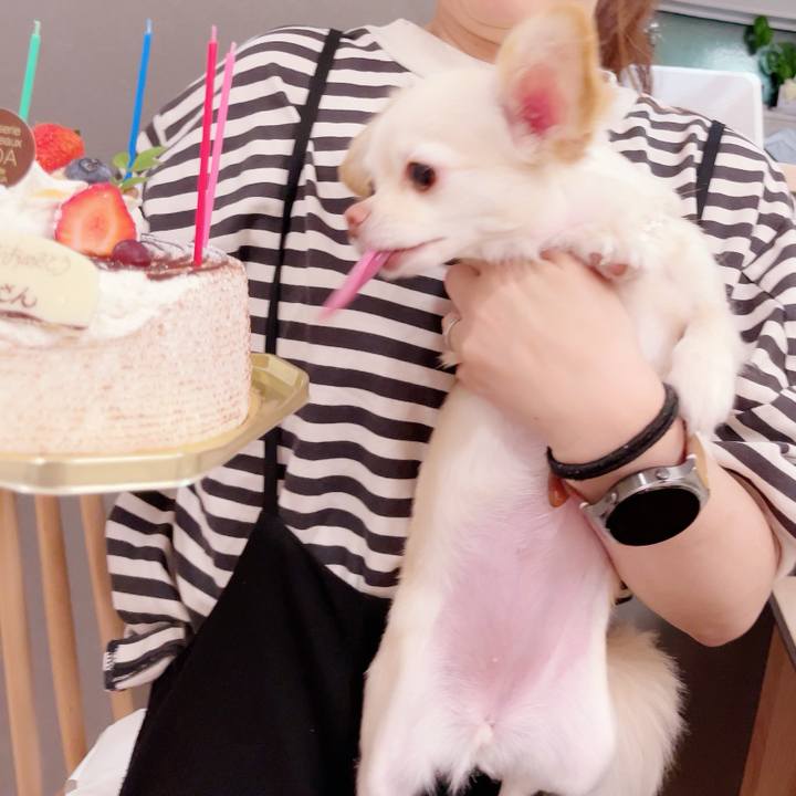 75b0f82b c52e 43f5 8b69 a972c45edf82 1686546297669