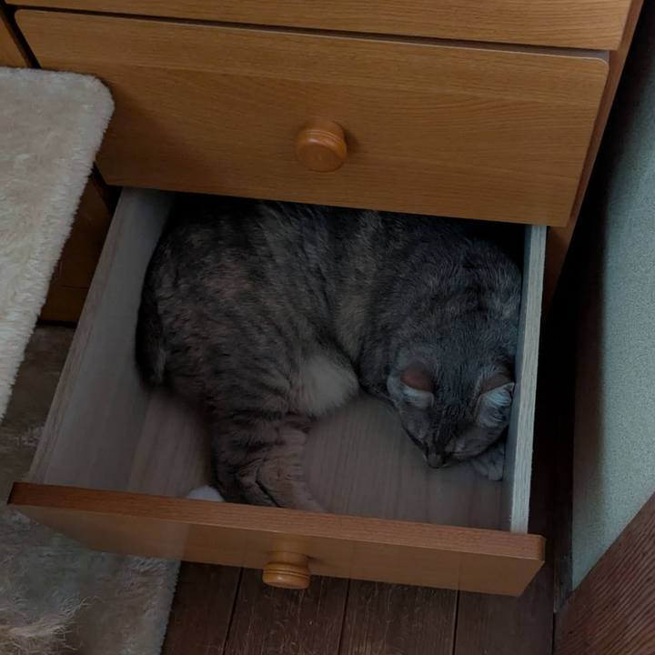 75b10221 65ec 4070 8832 626831bf1819 1750143400450