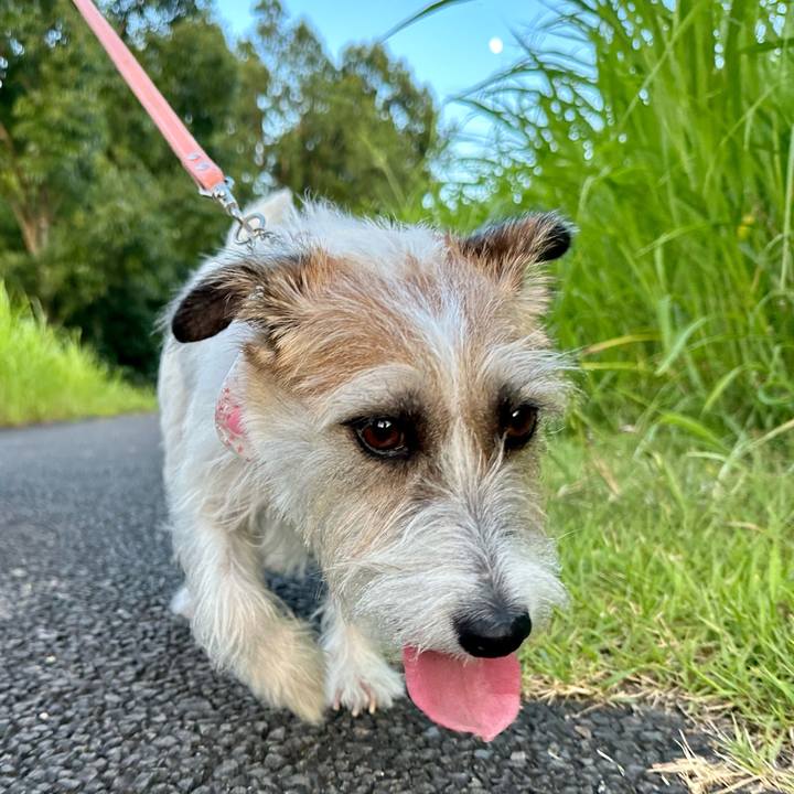 75b176f4 d9df 4e38 abce 2b7d7cc744e3 1690628453195