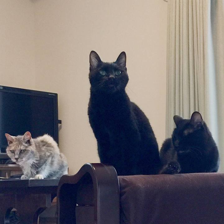 75b1b328 e5ef 4249 8335 a238a8903cde 1529725976248