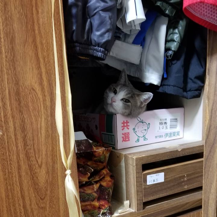 75b1bac5 7a70 474d adb1 6010194df4e2 1599735140306