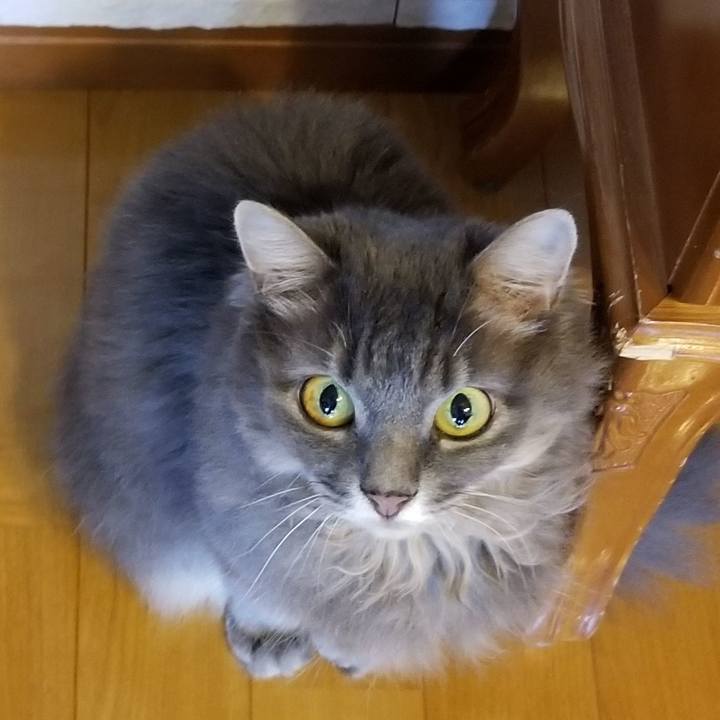 75b1d83a 3a53 40c7 81c6 fedc4f25ac6c 1538635390472