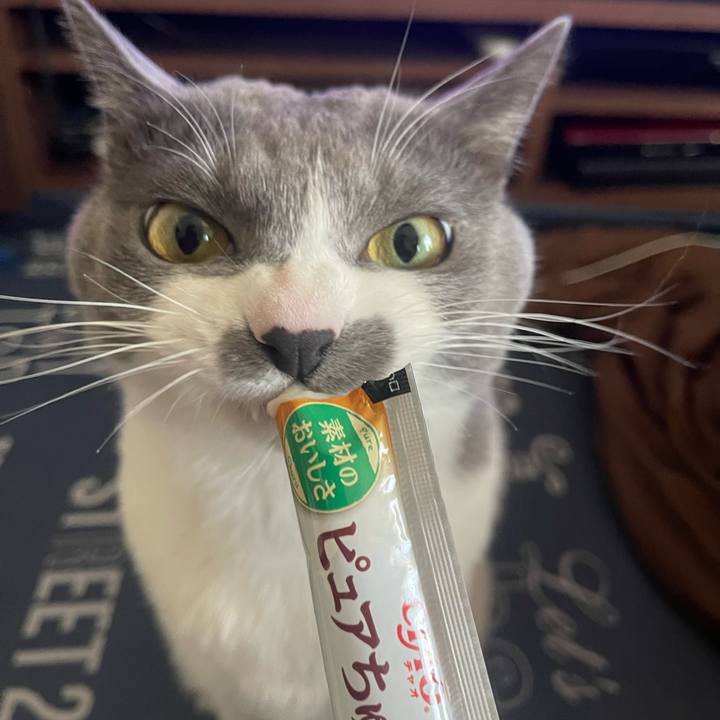 75b1f086 c8fb 483c 9a7f f5251a9f2590 1708067241610