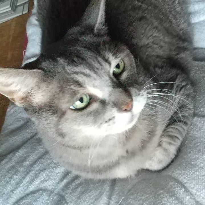 75b2082c d125 473e 955a a9aef5ab17a3 1661656437388