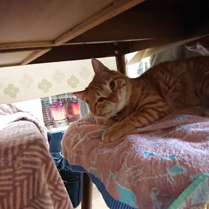 75b2098d 829f 4f6e ab5c dc36f983cdcc 1642639563624