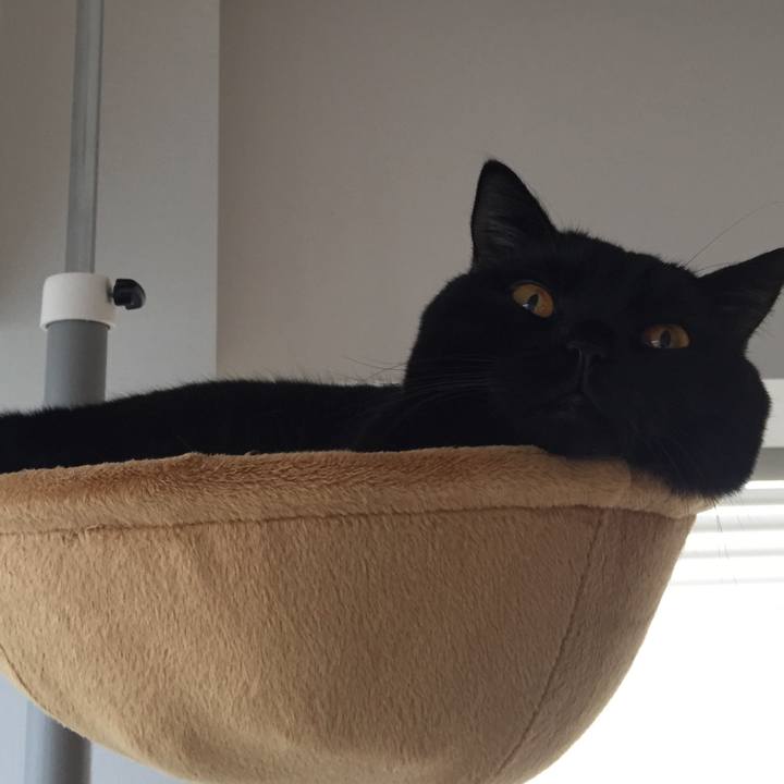 75b21ccd 4f7c 4624 8715 aeec306b6dab 1508800404885