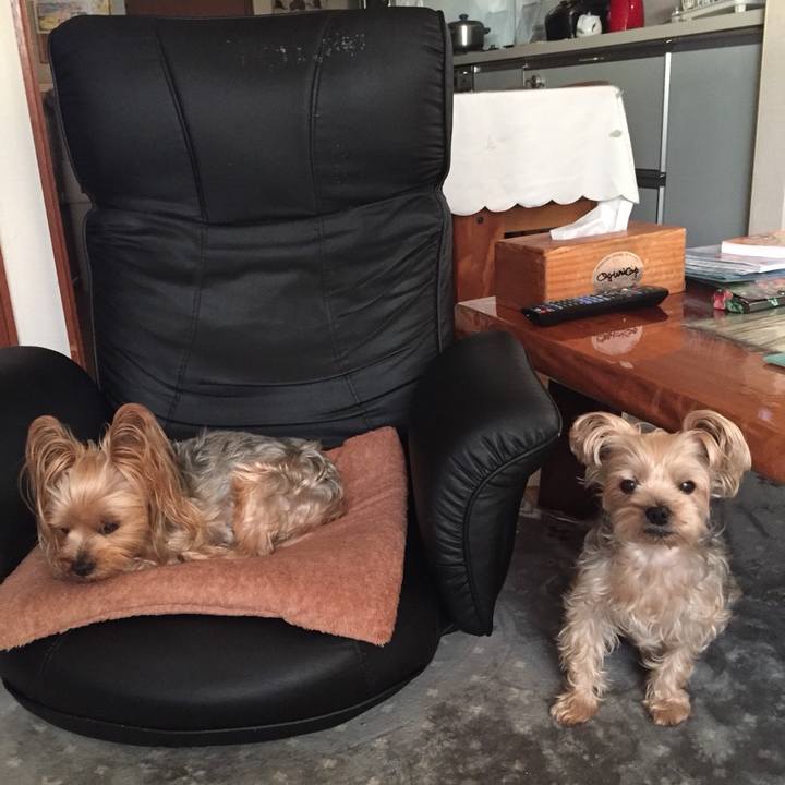 75b23a10 ea6c 4d7d b2ed a696f215fbb1 1540809692736