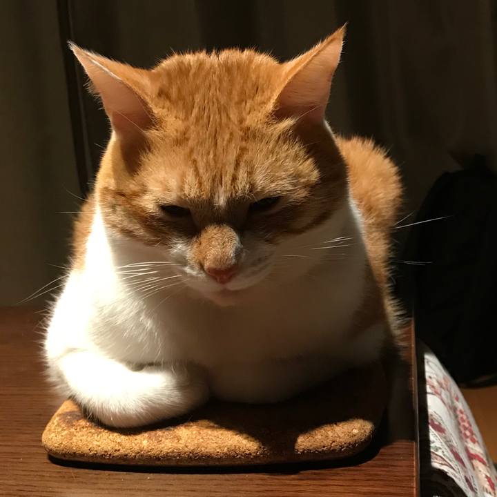 75b25272 4659 4e2e 841e 1a3050bf107e 1546474808826