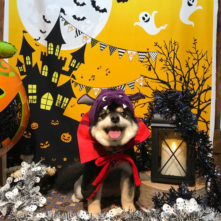 75b264ba 4836 4204 a430 a8ab61b91f0b 1540957223717