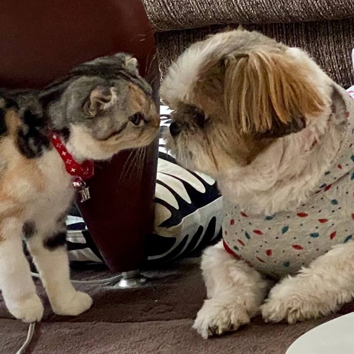 75b2a220 90a9 4056 bfb8 953c7df5990f 1601967472421